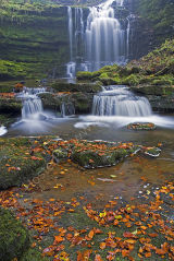 Yorkshire